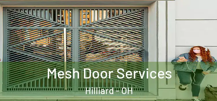 Mesh Door Services Hilliard - OH