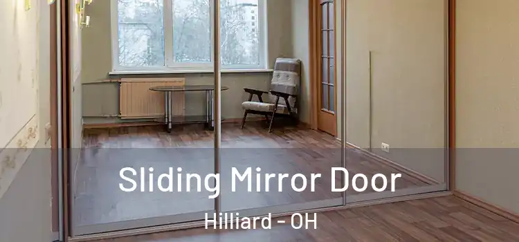 Sliding Mirror Door Hilliard - OH